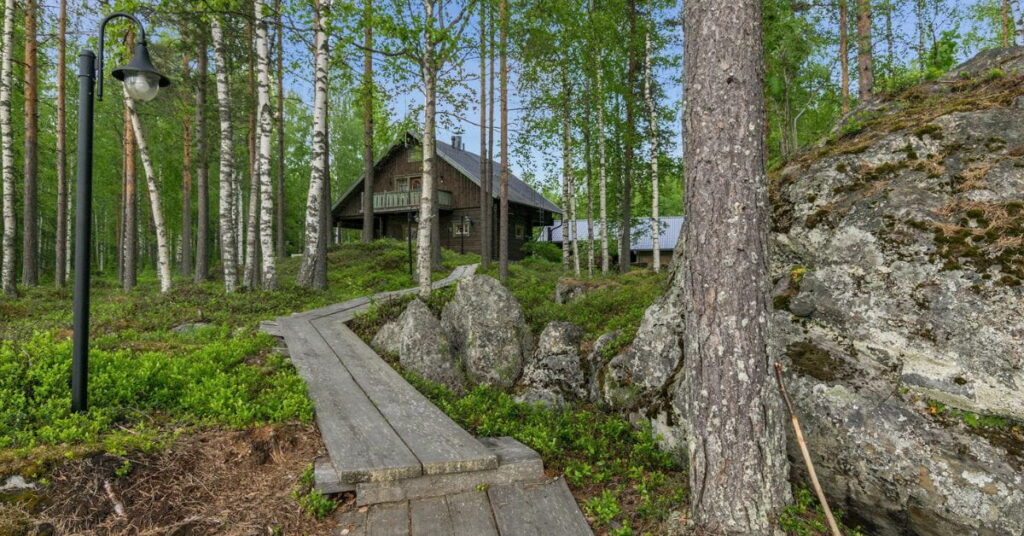Edustalla pitkospuut, jotka johtavat mökille. Niden takana ruskea hirsirakennus. Taustalla sininen taivas ja koivuja.